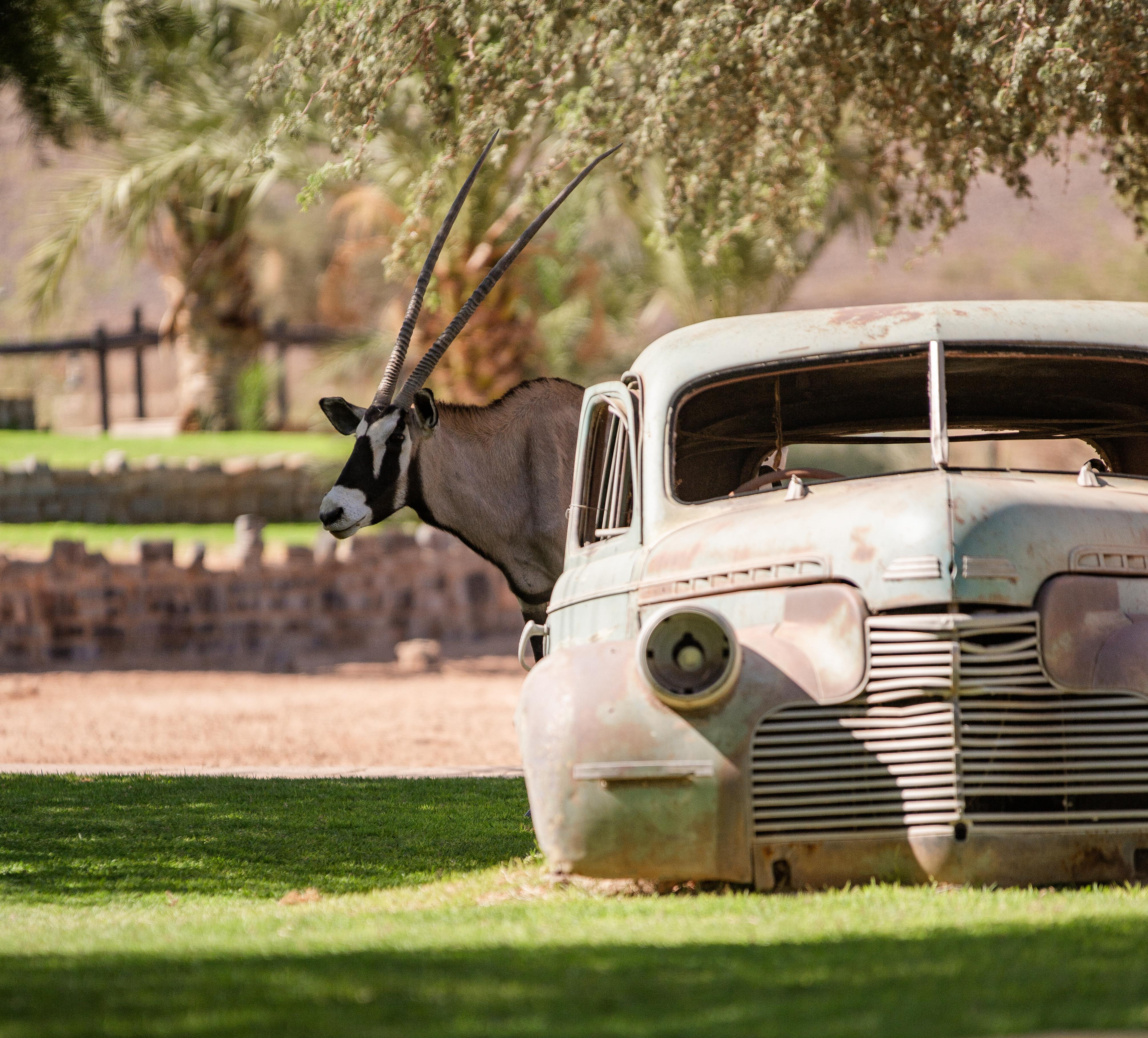 Canyon Roadhouse Fish River Canyon Luaran gambar